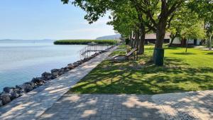 park z ławką przy wodzie w obiekcie HÉDER APARTMANOK w mieście Balatonfenyves