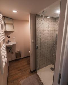een badkamer met een douche en een wastafel bij Home - Retour aux sources in Le Ménil