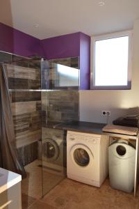 eine Waschküche mit einer Waschmaschine und einem Fenster in der Unterkunft Le Séchoir un Grand coin de paradis in Saint-Amand-de-Coly