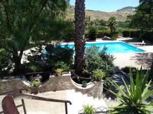 eine Palme neben einem Pool in der Unterkunft villa modica casteltermini in Casteltermini