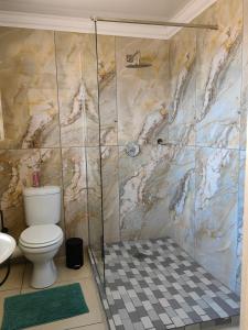 W łazience znajduje się toaleta i przeszklony prysznic. w obiekcie Back of the Moon Guesthouse w mieście Kuruman