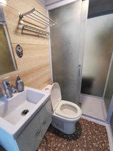 道因的住宿－Glamping Dome Dauin Beach and Dive Resort，浴室配有卫生间、盥洗盆和淋浴。