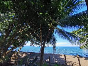 a beach with a palm tree and the ocean at Beachfront Glamping Dome Dauin Bamboo Style in Dauin +6 photos
