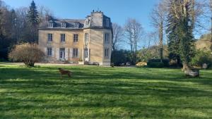 een hond in het gras voor een kasteel bij LA LANDE in Pleyber-Christ