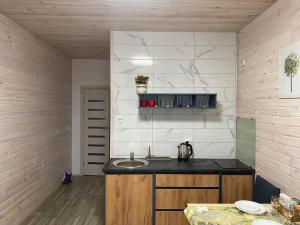 eine Küche mit einer Theke und einem Waschbecken in einem Zimmer in der Unterkunft Затишний будинок в передмісті Києва in Kriukivshchyna