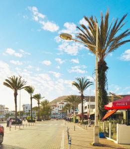 a street light with palm trees on a city street at Luxe en bord de mer à la Marina d'Agadir in Agadir +8 photos