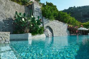 a swimming pool with a cactus next to a wall at Hotel Botanico San Lazzaro in Maiori