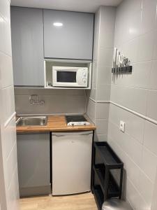 eine kleine Küche mit einer Spüle und einer Mikrowelle in der Unterkunft Resitur Luxury Suit A in Sevilla