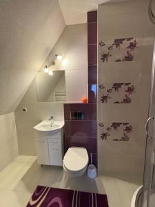 ein Bad mit einem WC und einem Waschbecken in der Unterkunft Willa u Bacy in Leśnica