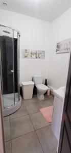 baño con 2 aseos y ducha acristalada en Appartement tendance en plein coeur de Mâcon E, en Mâcon