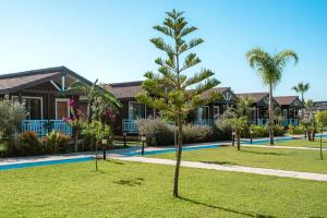 カーギジャックにあるSedir Park - Beach Bungalowの家の前のヤシの木