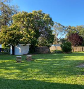 un arbre dans une cour avec deux bancs dans l'herbe dans l'établissement Charming Mid Century Bungalow, à Stanthorpe