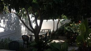een tafel en stoelen onder een boom in een tuin bij Zagara Bed & Breakfast in Lipari
