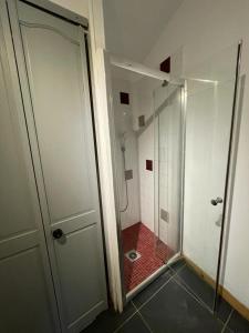 uma casa de banho com um chuveiro e uma porta de vidro em Les toits Vendôme em Lagord