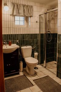 a bathroom with a toilet and a sink and a shower at Gaj-Raj in Łąkorz