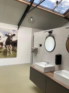 ein Bad mit einem Waschbecken und einem Spiegel in der Unterkunft Chalet op mini-camping de Peelweide in Grashoek