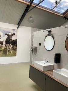 a bathroom with a sink and a mirror at Chalet op mini-camping de Peelweide in Grashoek +18 photos