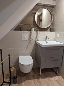 a bathroom with a sink and a toilet and a mirror at Le Cosy (20' Strasbourg en Bus) in Marlenheim