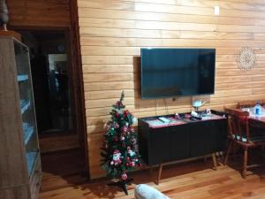 a christmas tree in a living room with a television at Haus Berg in São Francisco de Paula