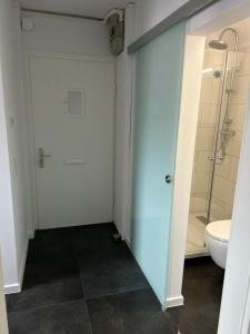 ein Bad mit einer Dusche und einem WC in der Unterkunft Hochwertige City & Messewohnung in Hannover
