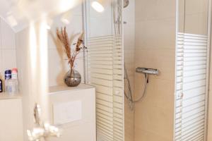 un bagno con doccia con porta in vetro di Suite-Regensburg a Ratisbona