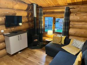 a living room with a couch and a tv and a fireplace at Mountain Edge Resort in Church Stretton
