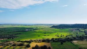 an aerial view of a green field with trees at Celebi Garden Hotel - Cittaslow Retreat in Famagusta