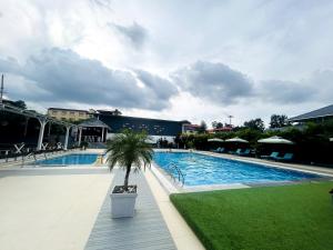 a swimming pool with a palm tree in the middle at TVR Resort and Spa in Kushālnagar