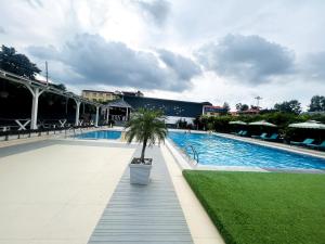 uma piscina com uma palmeira no meio em TVR Resort and Spa em Kushalanagar