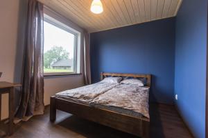 1 dormitorio con paredes azules y 1 cama con ventana en Holiday home Uzbazes, en Valmiera