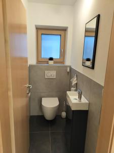 a bathroom with a toilet and a sink and a mirror at Ferienwohnung Ortner in Sankt Johann in Tirol