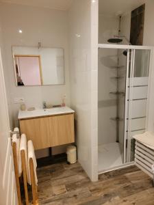 a bathroom with a sink and a shower at Appartement au cœur des Albères in Le Boulou