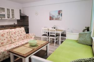 un soggiorno con divano e tavolo di Flower Apartment a Jáchymov
