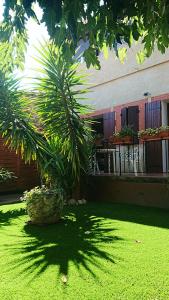 einen grünen Hof mit einer Palme und einem Gebäude in der Unterkunft Can Lina in Villemolaque