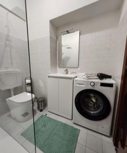 a bathroom with a washing machine and a toilet at La Famosa Dimora Ambasciatore in San Marino