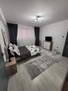 1 dormitorio con 1 cama y TV en Apartament cu 1 camera, en Zalău