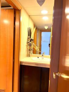 聖克魯斯－德特內里費的住宿－LA TORRE I，一间带水槽和镜子的浴室