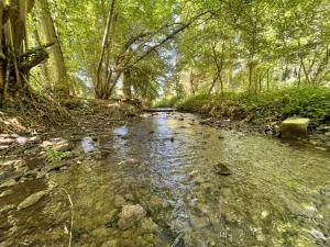 a stream in the middle of a forest with trees at Sky in Sharrington