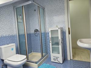 a bathroom with a shower and a toilet and a sink at Alojamientos turísticos Sinagoga in Úbeda