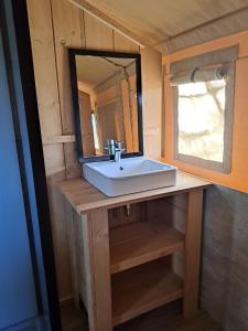 a bathroom with a sink and a mirror at Glamping Vive Tus Suenos -Equilibrio- Caminito del Rey in Alora