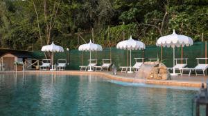 una piscina con fontana, sedie e ombrelloni di casa paola & pool a Vico Equense