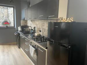 a kitchen with stainless steel appliances and a black refrigerator at Căsuța de piatră in Buşteni