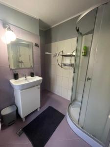 La salle de bains est pourvue d'un lavabo et d'une douche. dans l'établissement Casa Iacob, à Buşteni