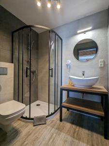 a bathroom with a sink and a shower and a toilet at Willa Janowa in Bukowina Tatrzańska
