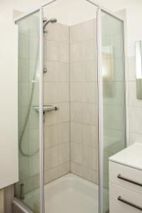 a shower with a glass door in a bathroom at Ferienwohnung Hirschgrundblick in Oberlungwitz