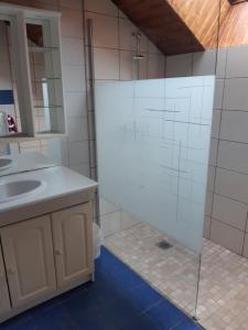 a bathroom with a sink and a glass shower at Gite les Myosotis in Saint-Jean-Saint-Nicolas