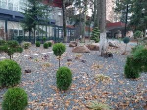 Zahrada ubytování Hotel Padis