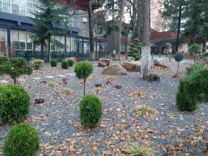 a garden in front of a building with trees and rocks at Hotel Padis in Baile Felix
