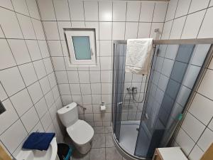 a bathroom with a toilet and a shower at Czerwone Domki Wartowo in Kołczewo +29 photos