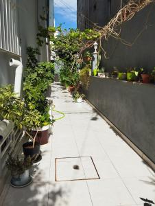 a patio with potted plants on the side of a building at Residencia BB in Praia